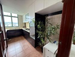 The Sunnydale (D19), Condominium #635575141